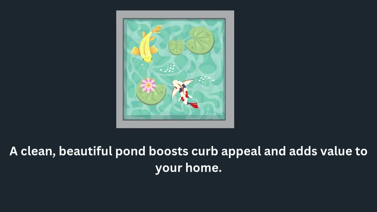 How Pond Maintenance Saves You Money | Serving Richmond, VA