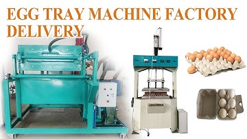 1000pcs/h Egg Tray Machine: Pulp Molding Production Line from Factory to Delivery! #eggtraymachine