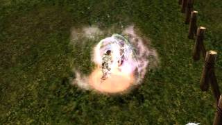 Lineage 2 Freya - Dreadnought 80 vs. Doombringer 83 Arena PvP Fight