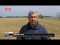 В Одеській області через втрату врожаю фермер покінчив життя самогубством