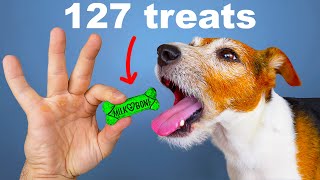 Thumbnail for I Mixed Every Dog Treat Into One Piece