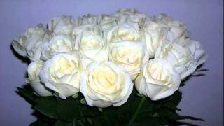 Ю.Шатунов - Белые розы ((c)LXS® shranz rmx)