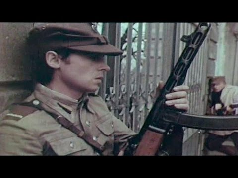 Все и никто (Польша, 1978)