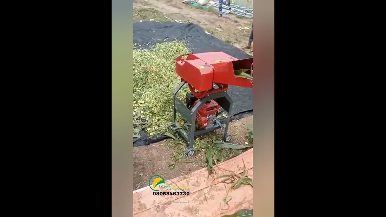 Chaff Cutter/Grass Cutter Machine for Livestock Feeds