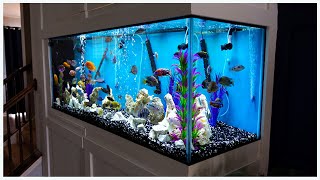 210 Gallon Aquarium Wall Build: What We Can Learn From It!