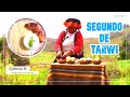 COMO COCINAR SEGUNDO DE TARWI