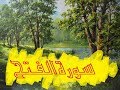 سورة الفتح راشد العفاسي
