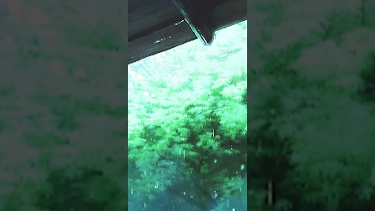Satisfying anime rain scenes 🌧 