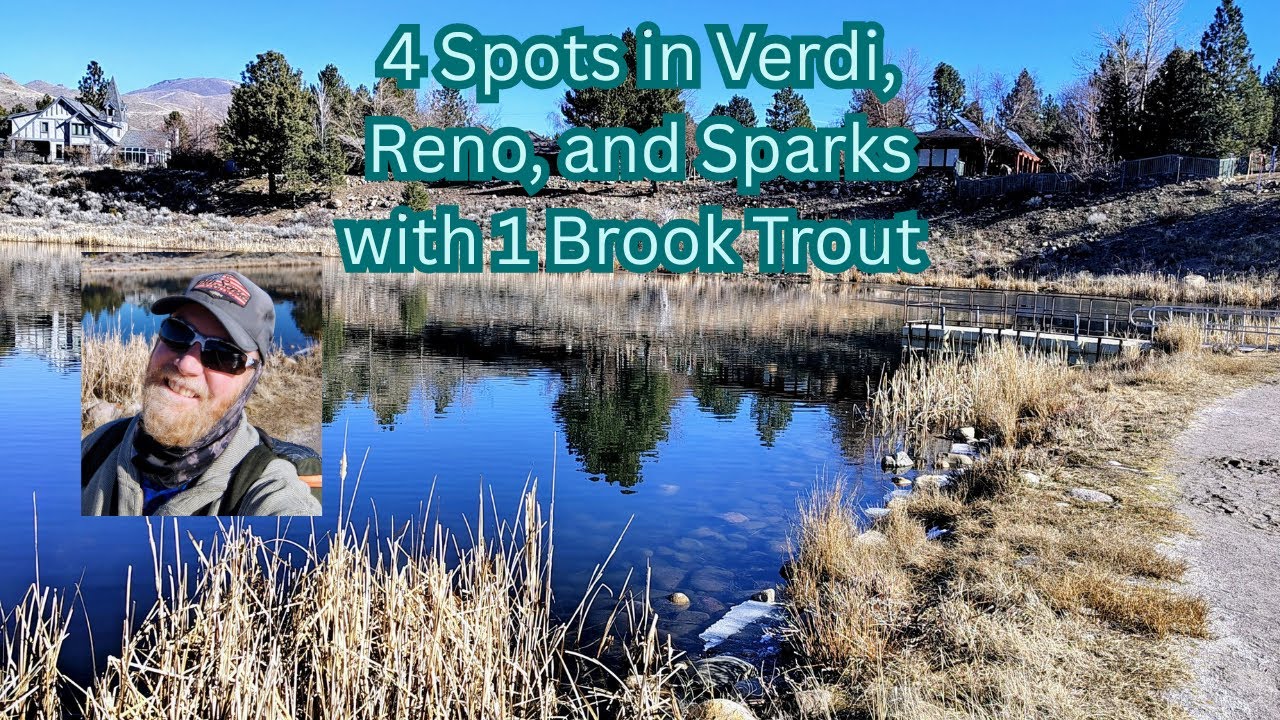 4 Spots in Reno, Verdi, and Sparks with One Brook Trout