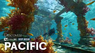 Is The Pacific Ocean Hiding Dark Secrets Beneath Its Surface