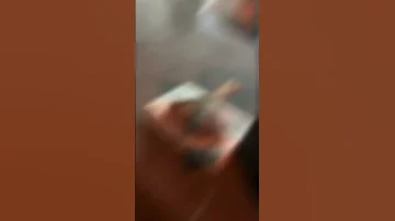 امسال می ده کشته سپاه مرگ بر کل نظام 