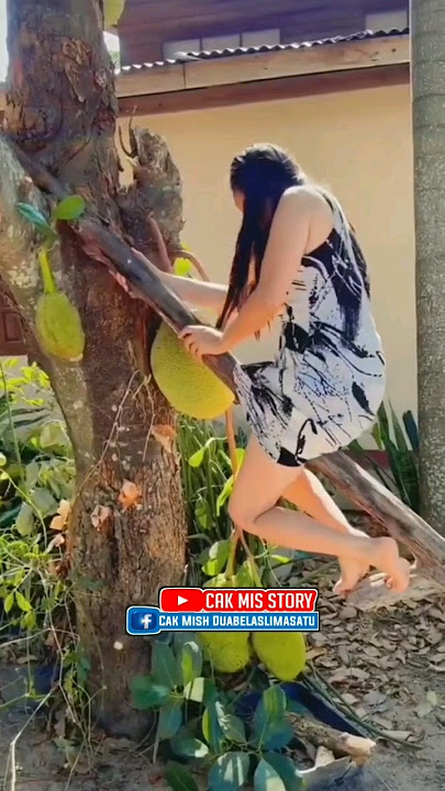 anakmu kin solikin🤣🤣 #komedi #comedyshorts