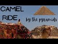 Great Pyramids of Giza - Camel Ride Highlights