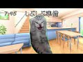 【底辺】運用監視オペレーターの日常 日勤編 #猫ミーム #インフラエンジニア #クラウドエンジニア #SRE #フリーランス