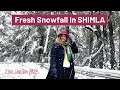 Another Heavy Snowfall In Shimla 🌨 | Jan 2022 | Everything Looks So Dreamy | Shimla Latest Vlog
