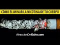 Cómo Eliminar la Nicotina del Cuerpo Naturalmente - AtraccionDelExito.com