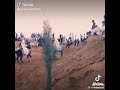 الاجواد