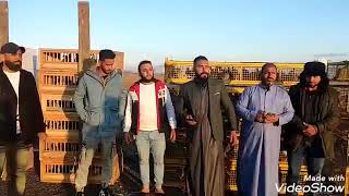 اندية إيران للسباقات الوطنية🇮🇷اليوم سباق بازركان الوطني 1100KM مشترك  اندية محافظة عبادان جنوب إيران