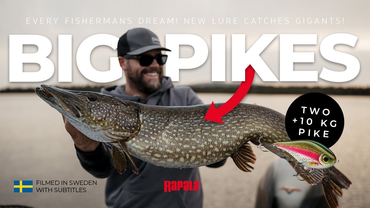 Rapala Super Shadow Rap Jerk 11 - CRAZY BIG PIKES on NEW jerkbait!