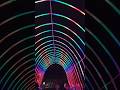 Tunnel of lights. #lights #tunnel #zoolights #oregon #shorts