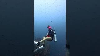 Scuba Diving Tamil - Dive Master #tamil #shorts