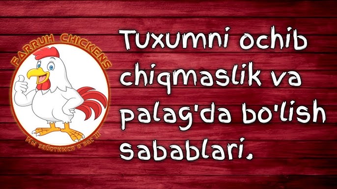 Qiz va Sankt Bernard porno Yangi sperma yosh sevgilisi Lily