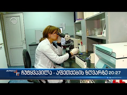 ჩუტყვავილა - აფეთქების ზღვარზე