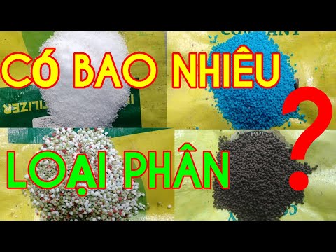 Video: Phân Trộn Và Phân Xanh