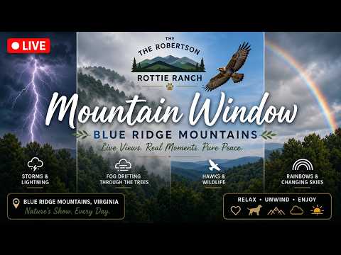 Blue Ridge Mountain Window live cam preview