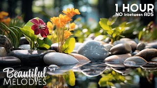 Relaxing Zen Music, Deep Sleep 🌿 The music helps reduce stress, alleviate depression, treat anxiety