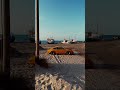 sunset Straight out of GTA vibes.#gta #gta5 #gta6 #porsche #porsche911 #edits #beach #luxurycars #f1