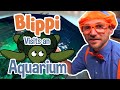 Blippi | Blippi Visits The Aquarium | Educational Fish and Animals for Kids and Toddlers