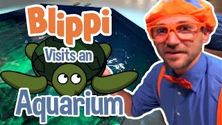 Blippi | Blippi Visits The Aquarium | Educational Fish and Animals for Kids and Toddlers