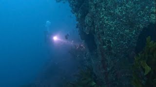 J4 Submarine - Point Lonsdale by Great Ocean Divers 307 views 1 month ago 10 minutes, 10 seconds