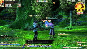[FFXIV]  some unrelease spells (patch 1.17)