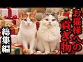 お猫様へ大量に貢物を献上した結果がこちら【総集編】