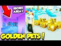 I Got A FULL TEAM OF GOLDEN PETS In Pet Simulator 2 Update And Found The SECRET AREA! (Roblox)