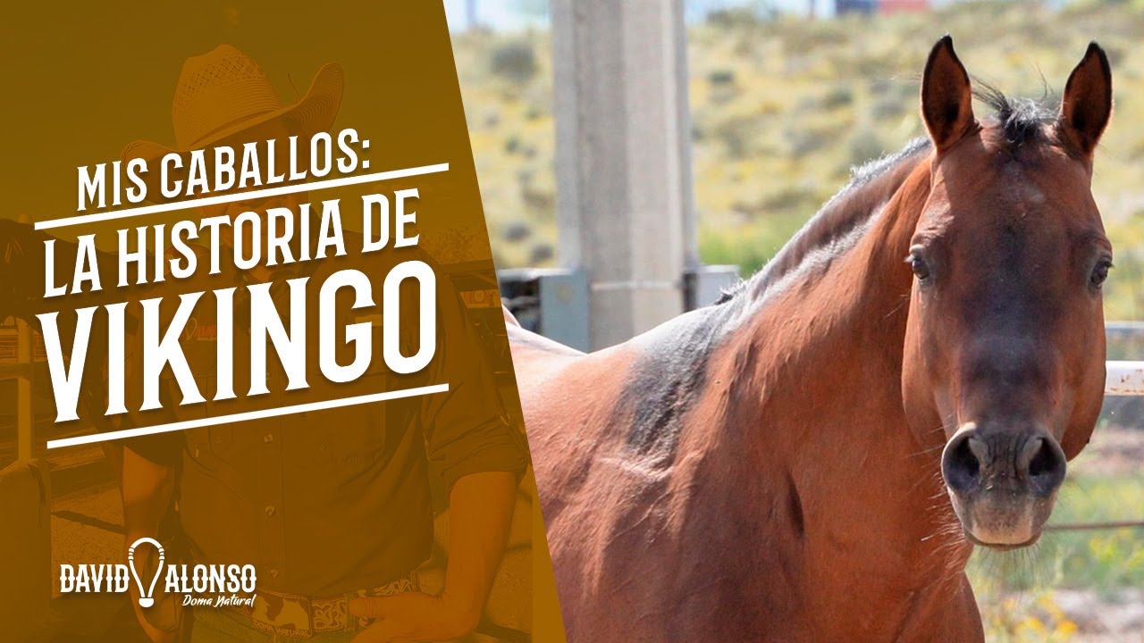 La historia de Vikingo