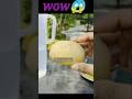| Aprajita plants care tips A to Z #shorts #aprajita #youtubeshorts