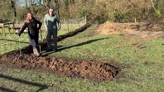 Planting a new hedge by Tumble Oak Woods 37 views 9 months ago 1 minute, 8 seconds