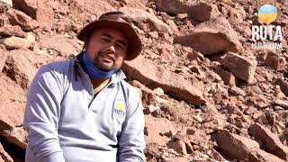 Capitulo 5 "Documental Voces del Desierto": Cruz de Aroma
