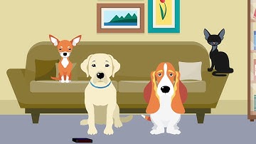 Reverse Sneezing  by Your Doggie_Redondo Shores Veterinary Center
