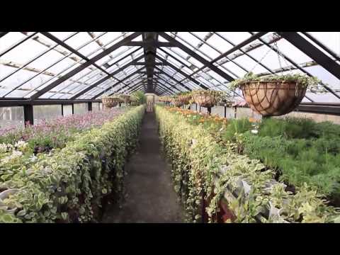 მეწარმე, ადამიანი რომელიც ქმნის კეთილდღეობას.