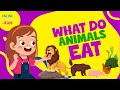 Animal Diets Quiz