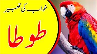 ?khwab mein tota dekhna | parrot in dream | Khwabon ki tabeer
