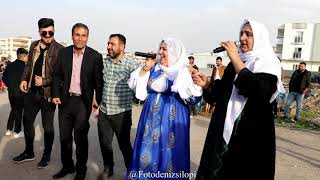 Dengbej Henif oğlunun Düğününde Hem Oynadı Hem Söyledi  Dengbej Kurde Reme rumet Resimi