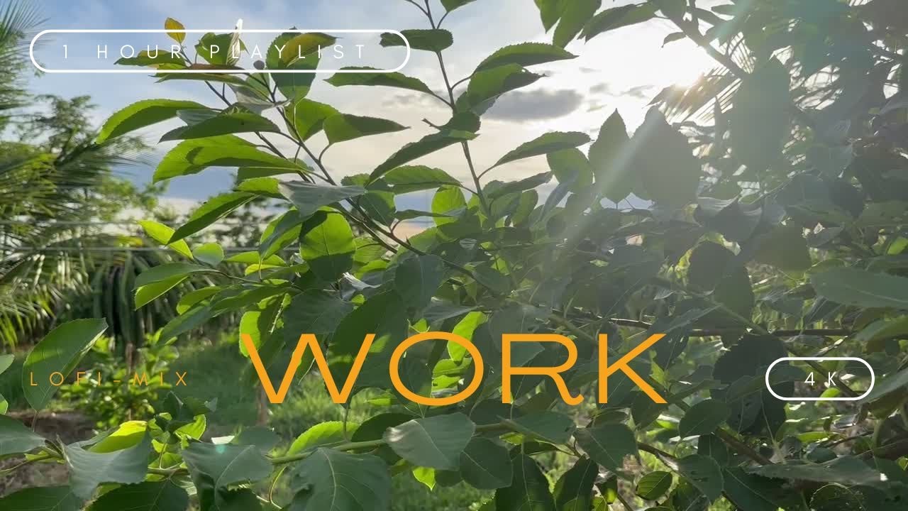 Pure Concentration: Instrumental Piano Lofi for Deep Work & Study - Calm Ambient Sounds