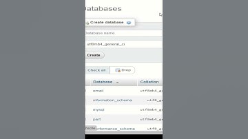 create database MySQL #shorts