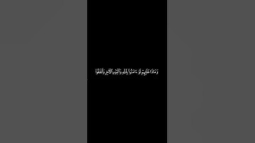 قران كريم سوره النساء الآيات 38 _ 40 بتلاوه الشيخ ياسر الدوسري 🩶