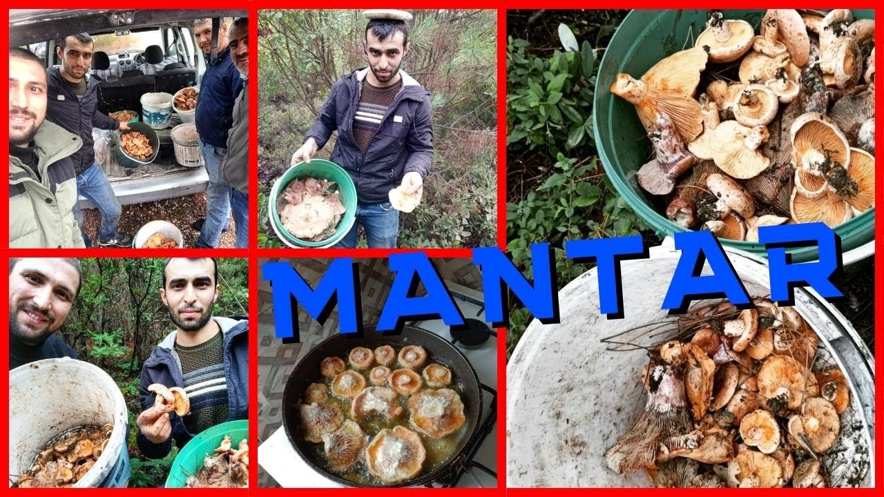 MANTARA GİTTİK MANTAR OLDUK !
